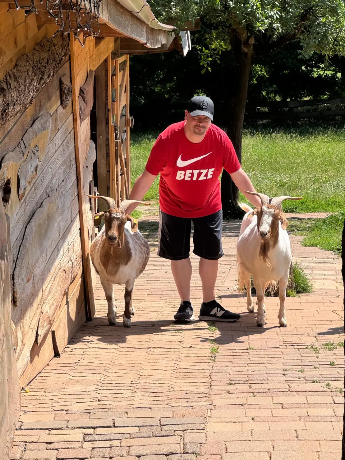 LIFE ENERGY & HEALING – Timo Groß – Psychologischer Berater – Timo Groß mit zwei Ziegen